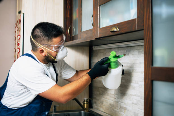 Best Local Pest Control Services  in Wooster, AR
