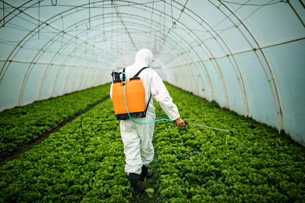Best Pest Control for Restaurants  in Wooster, AR