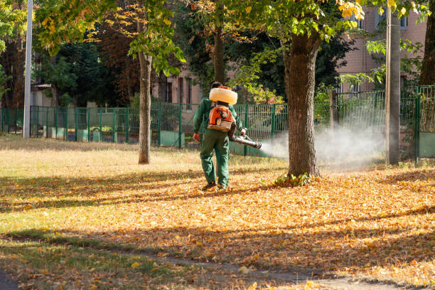 Best Flea Control Services  in Wooster, AR