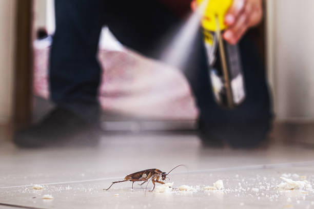 Best Pest Inspection Near Me  in Wooster, AR