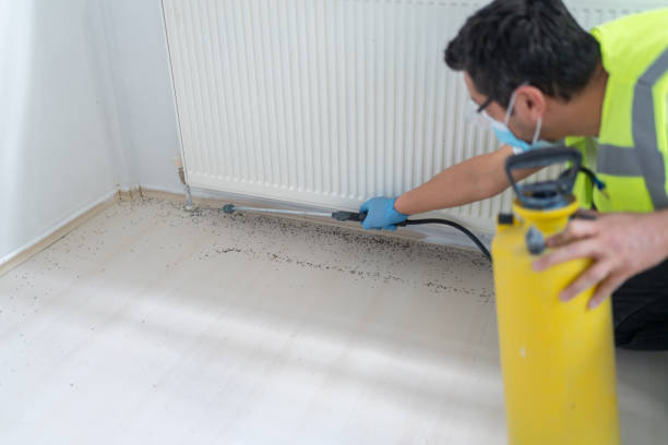 Best Cockroach Control Services  in Wooster, AR