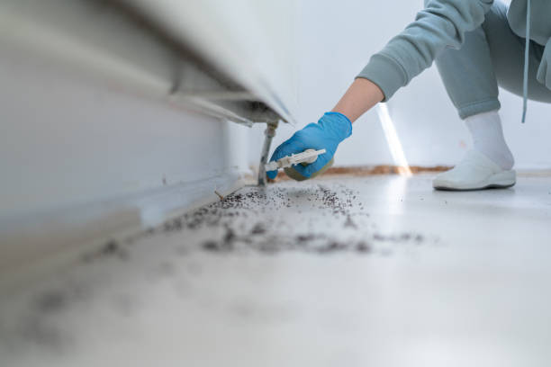 Best Pest Prevention Services  in Wooster, AR